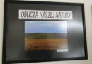 „Oblicza naszej natury” w HDK-u